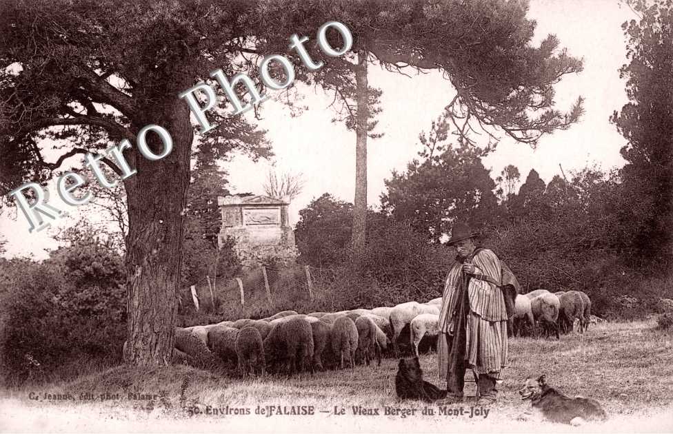 Vieux Berger du Mont Joly