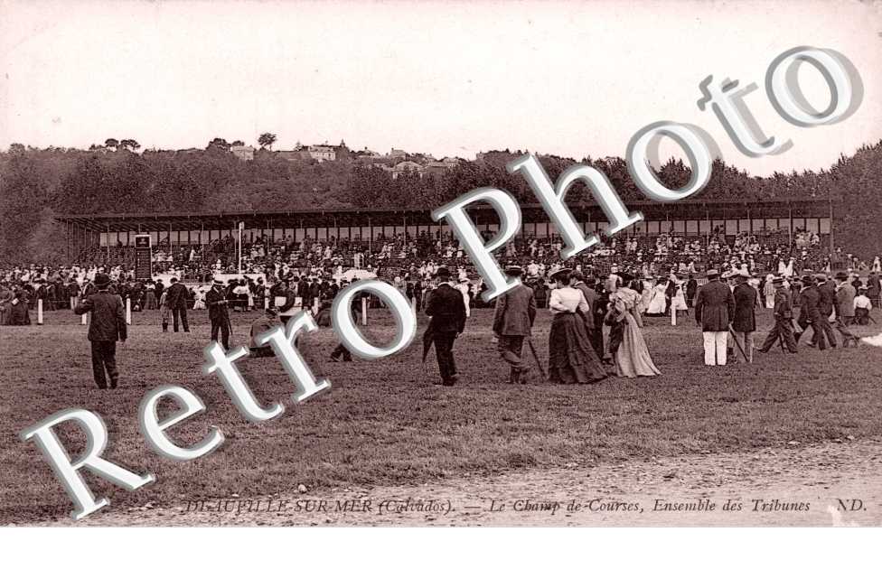 le champ de courses HIPPODROME
