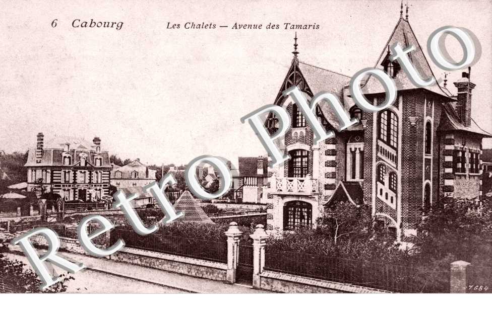 Avenue des Tamaris