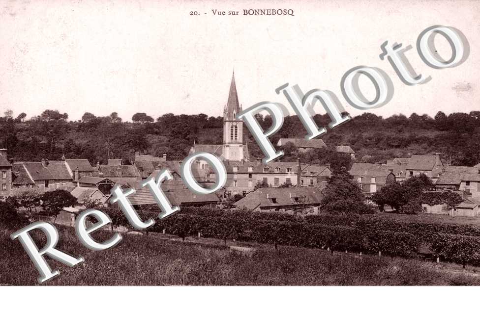 vue