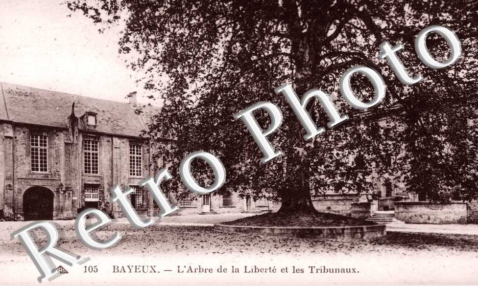 arbre de la Liberte et les Tribunaux