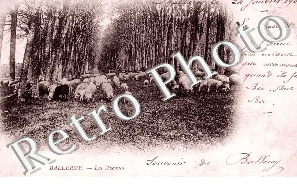 les avenues