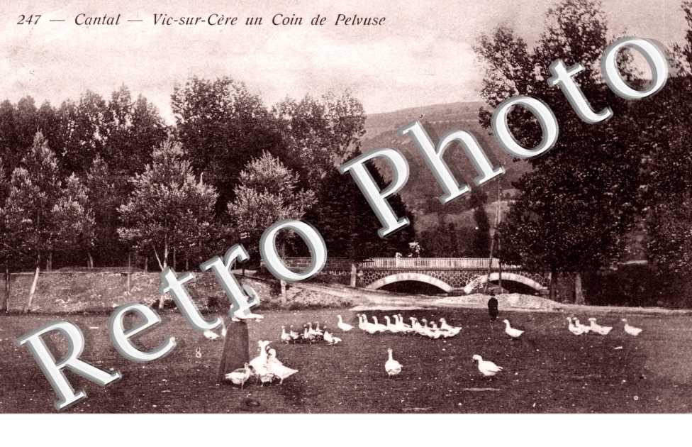 Un coin de Pelvuse
