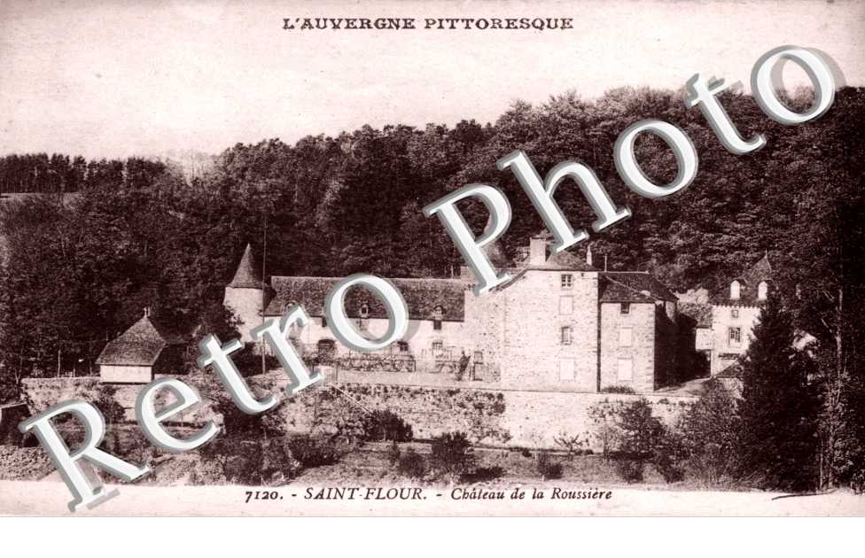 Chateau de la Roussiere