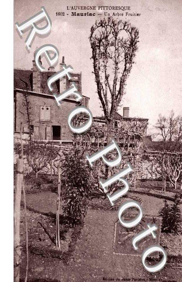 Un arbre fruitier