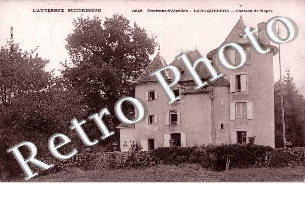 Chateau de Nepes