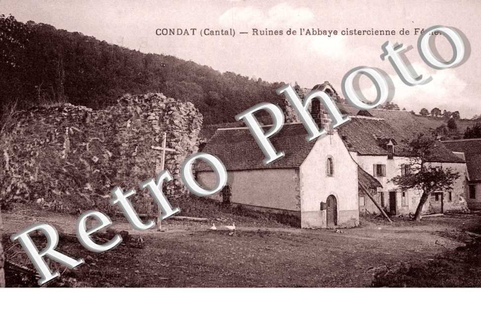 ruines de l&#039;abbaye cistercienne de feniers