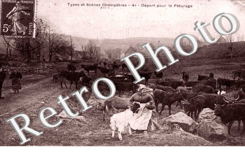 depart pour le paturage