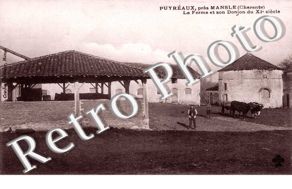 Puyreaux, le Ferme et son Donjon