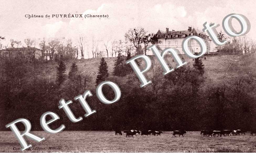 Chateau de Puyreaux