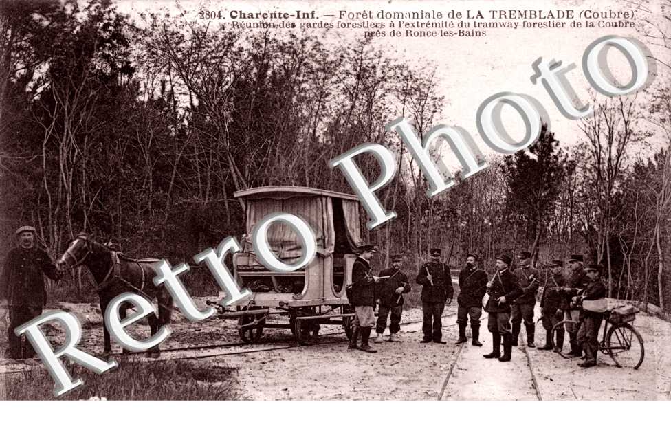 Foret Domaniale