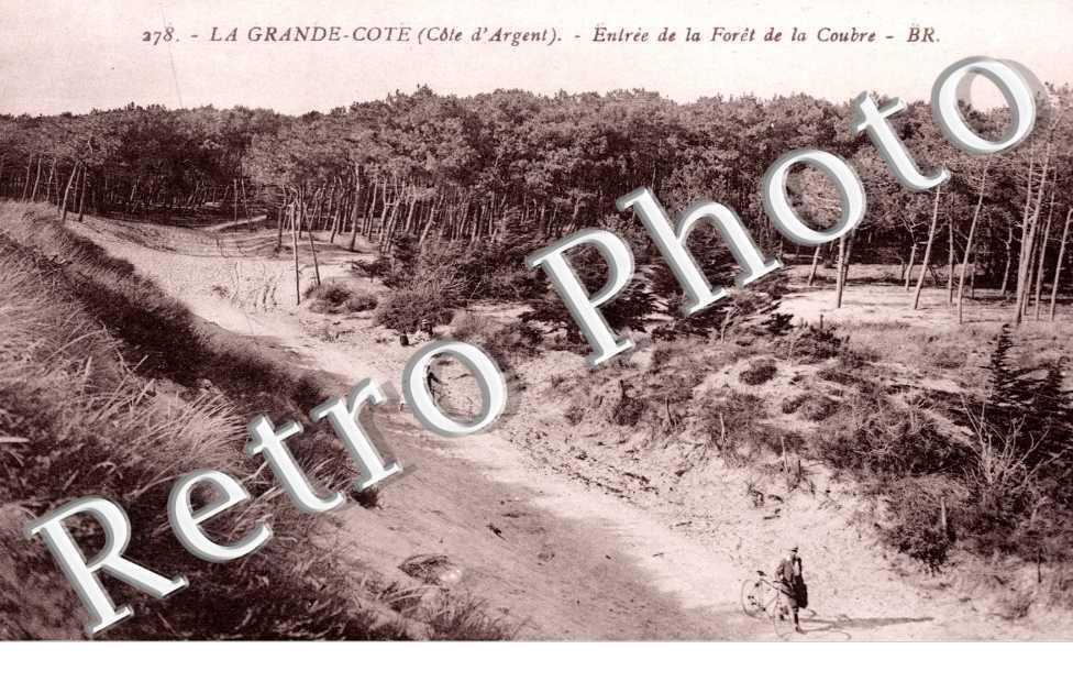 Entree de la Foret de la Coubre