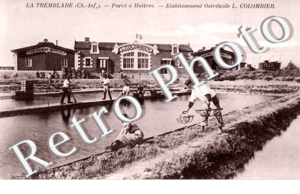 Parcs a Huitres, Etablissement Ostreicole L. Colombier