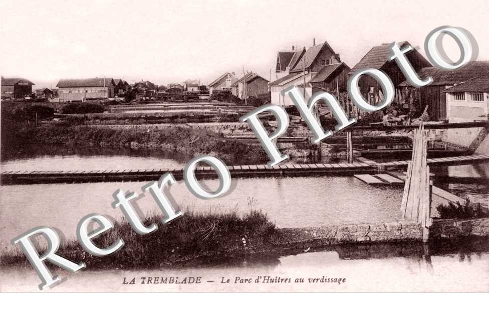 Parc d&#039;Huitres au Verdissage