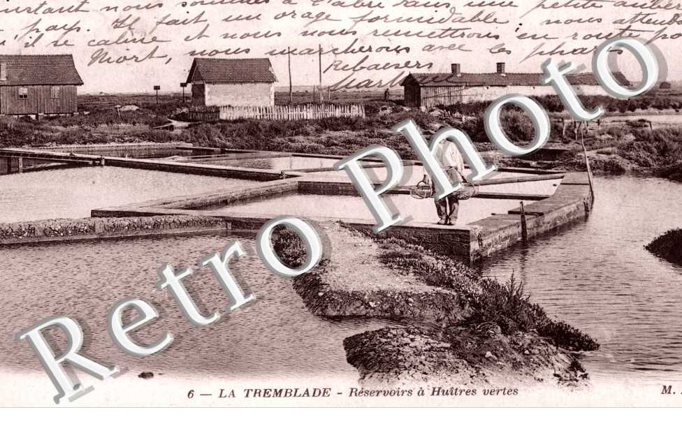 Reservoirs a Huitres vertes