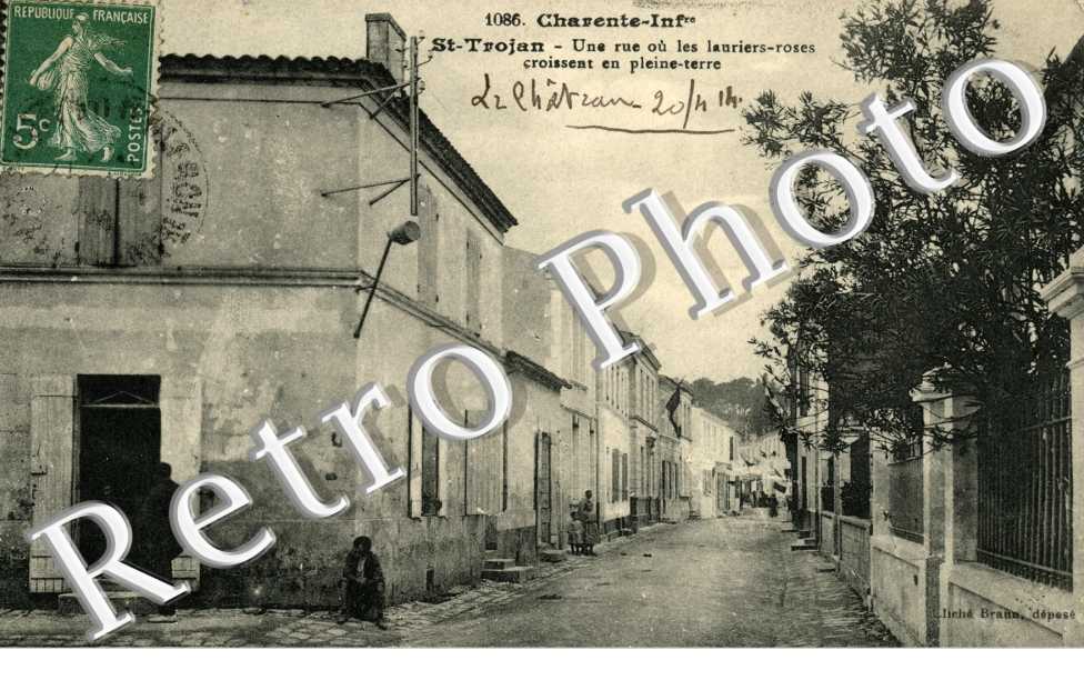 une rue ou les lauriers-roses croissent en pleine terre