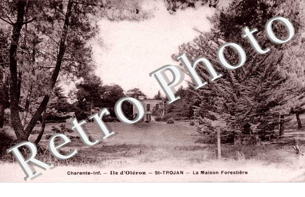 La maison forestiere
