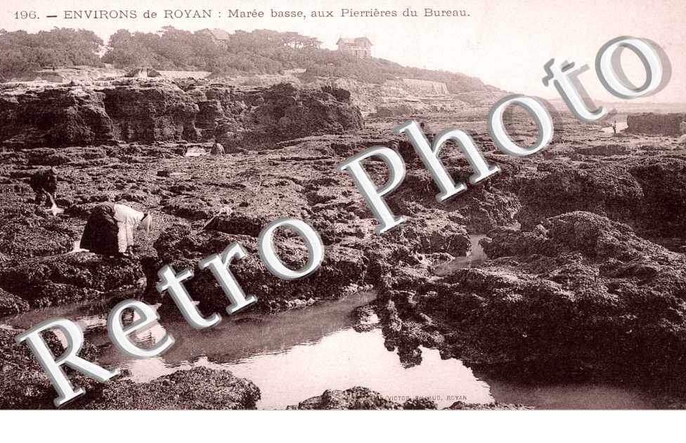 Maree Basse aux Perrieres du Bureau