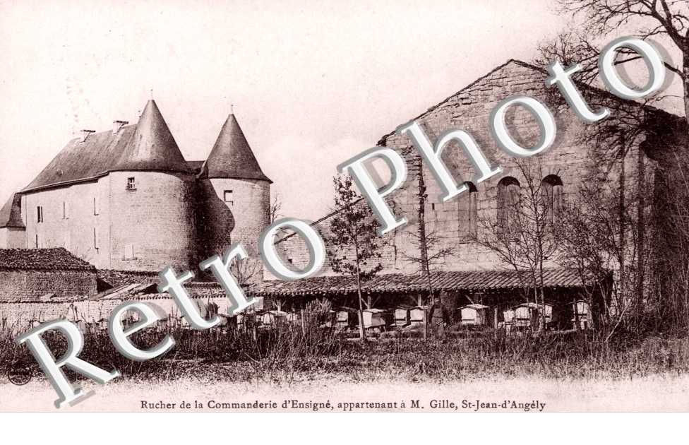Rucher de la Commanderie d'Ensigne