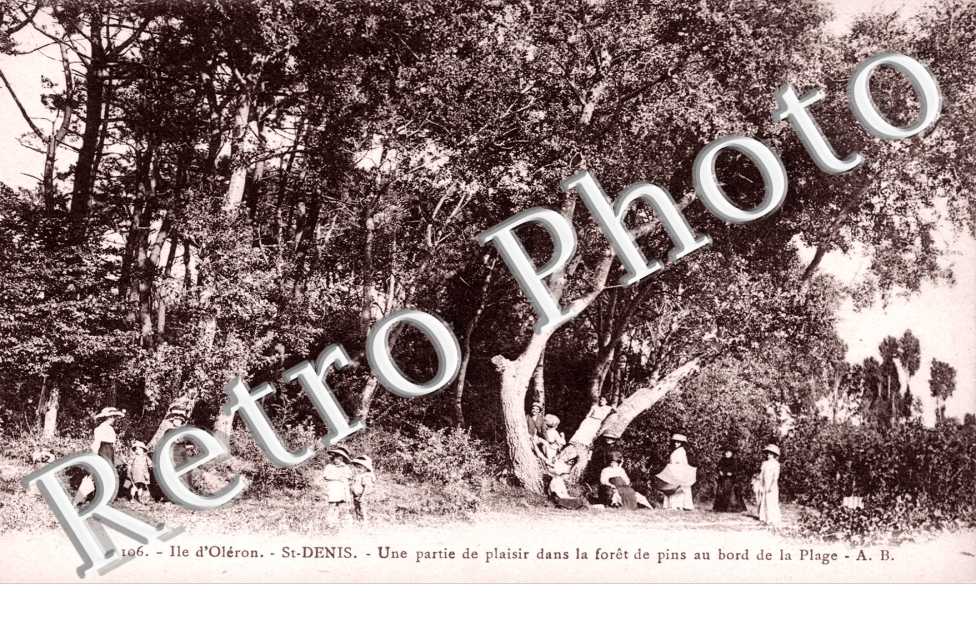 Une partie de plaisir dans la fôret de pins au bord de la plage
