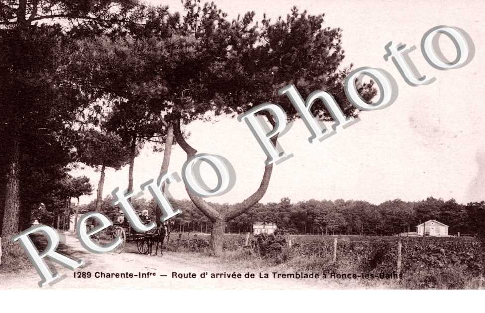 route d&#039;arrivee de la tremblade a Ronce-les-Bains