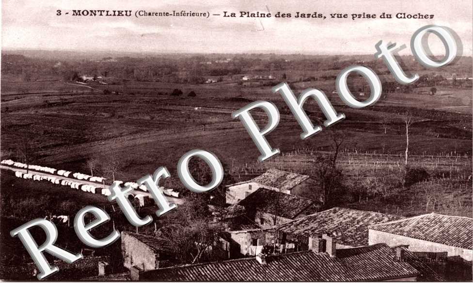 La plaine des Jards