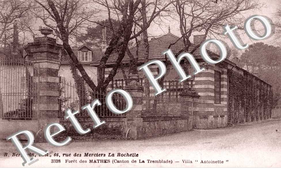 Villa "Antoinette" - foret