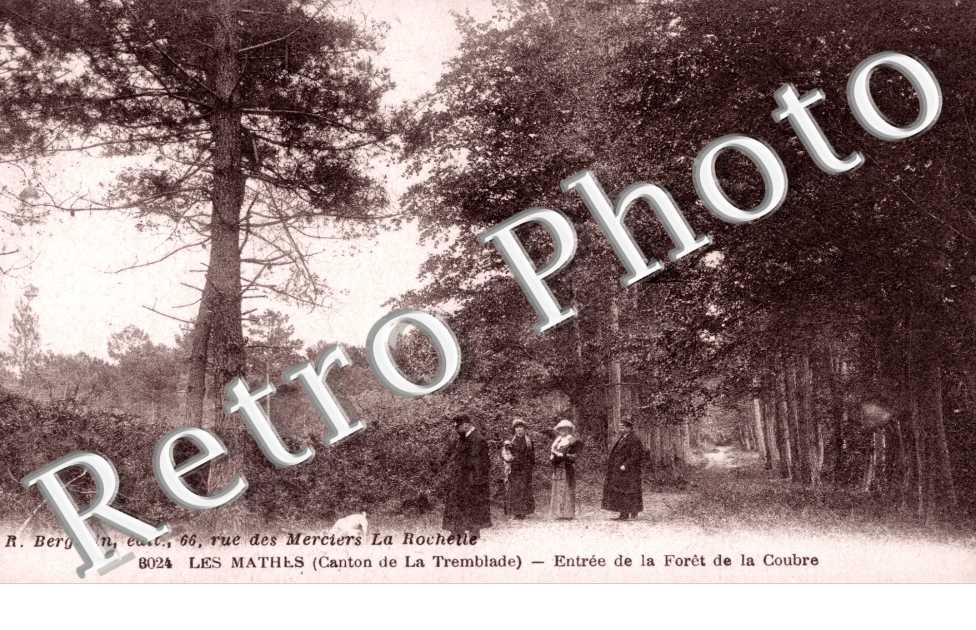 Entree de la foret de la Coubre