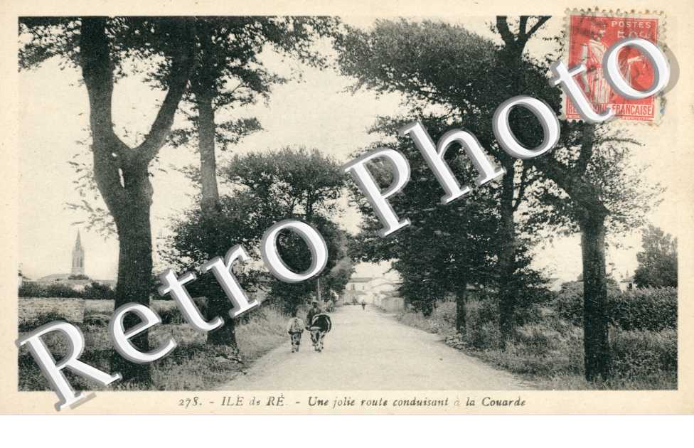 Une jolie route conduisant a la Couarde - Ile de Ré