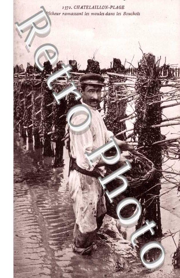 Pecheur ramassant les moules dans les Bouchots