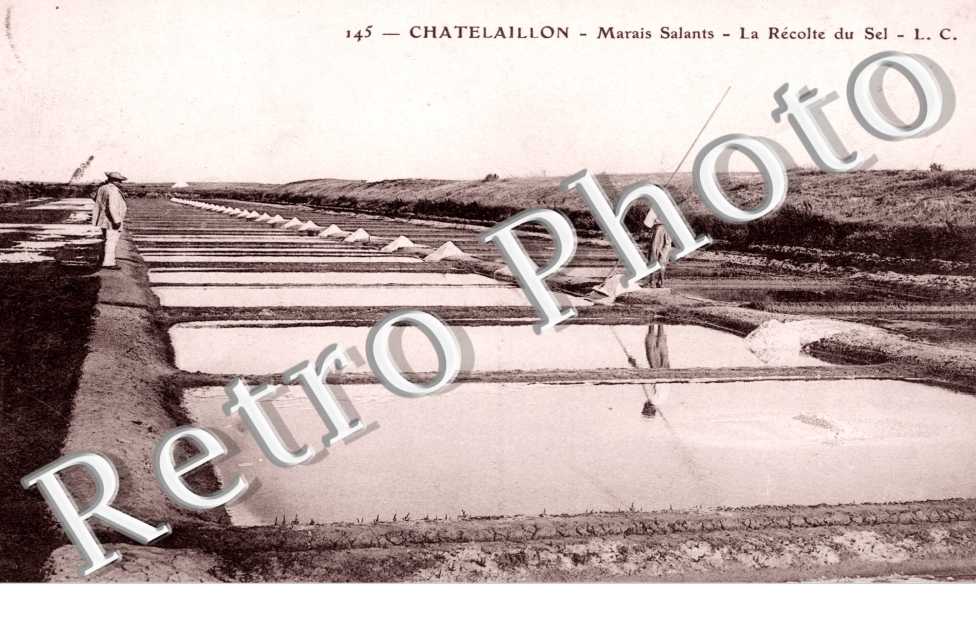 marais Salants - la recolte du sel