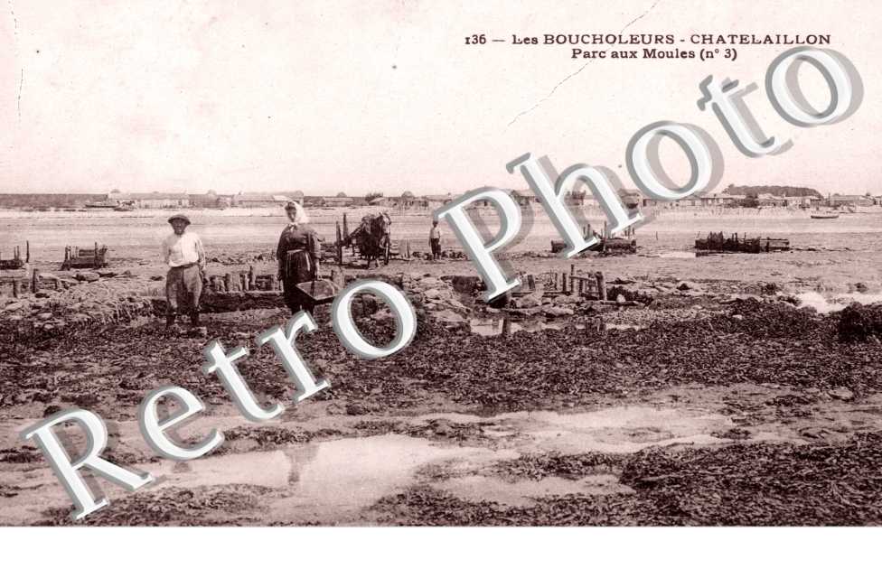 Parc aux moules - les Boucholeurs