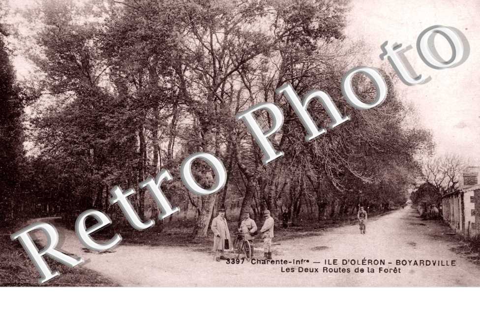 les deux routes de la foret
