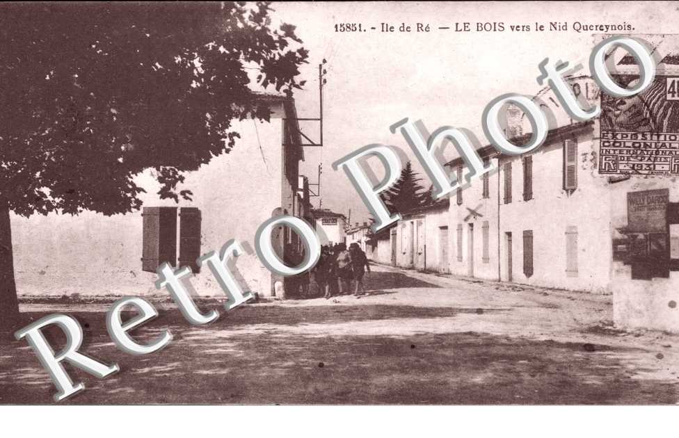 Le Bois vers le Nid Quereynois
