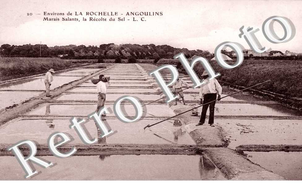 marais salants, la recolte du sel
