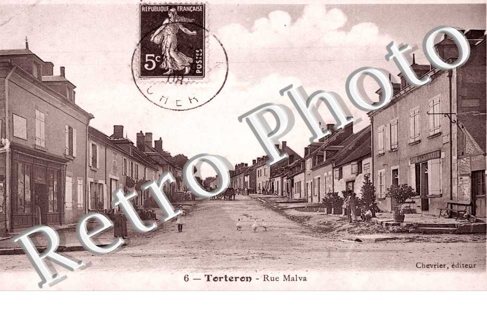 Rue Malva