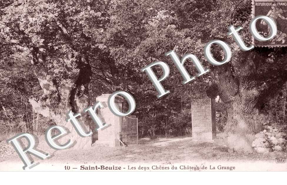 Les deux chenes du Chateau de la Grange