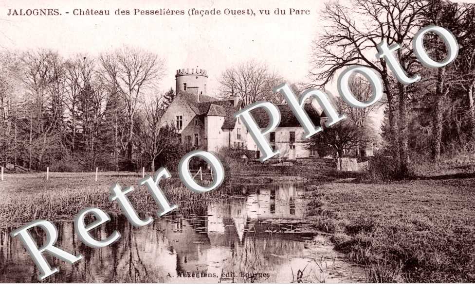 Chateau des Pesselieres, Vue du parc