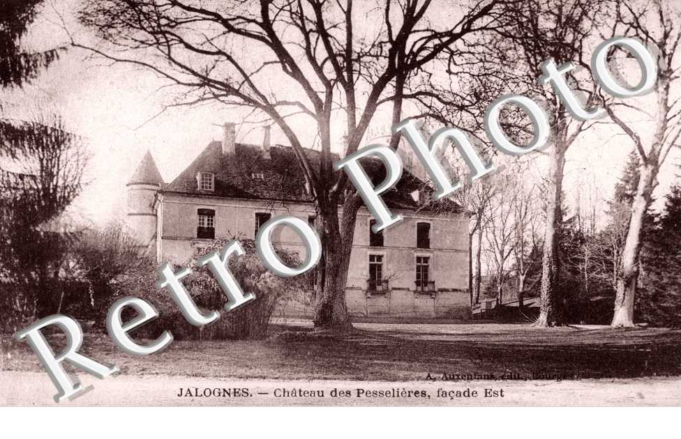 Chateau des Pesselieres