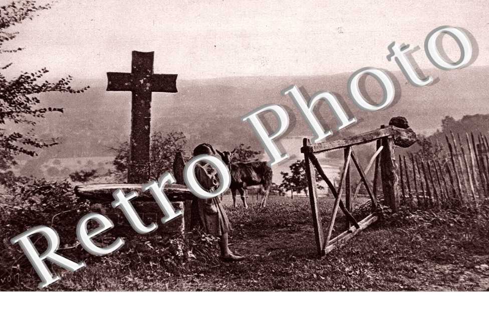 Une petite bergere