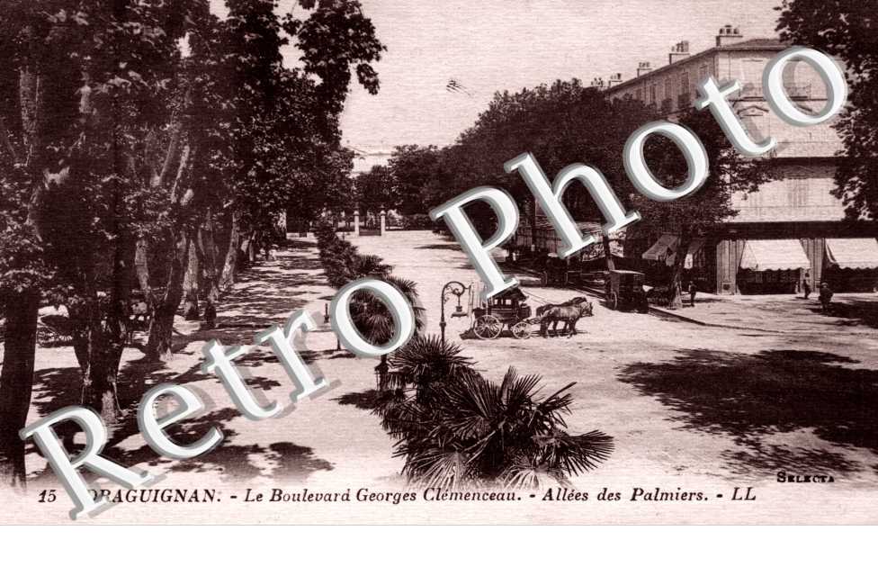 Le Boulevard Georges Clemenceau - Allees des Palmiers