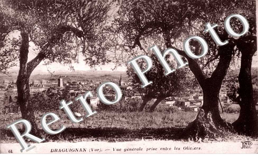 Vue Generale prise entre les oliviers