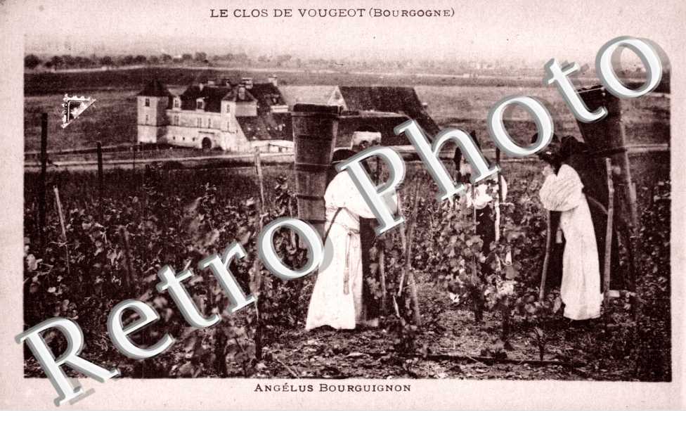 le clos de Vougeot , Angelus Bourguignon