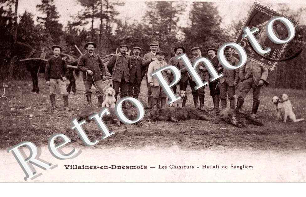 les chasseurs, hallali de sangliers