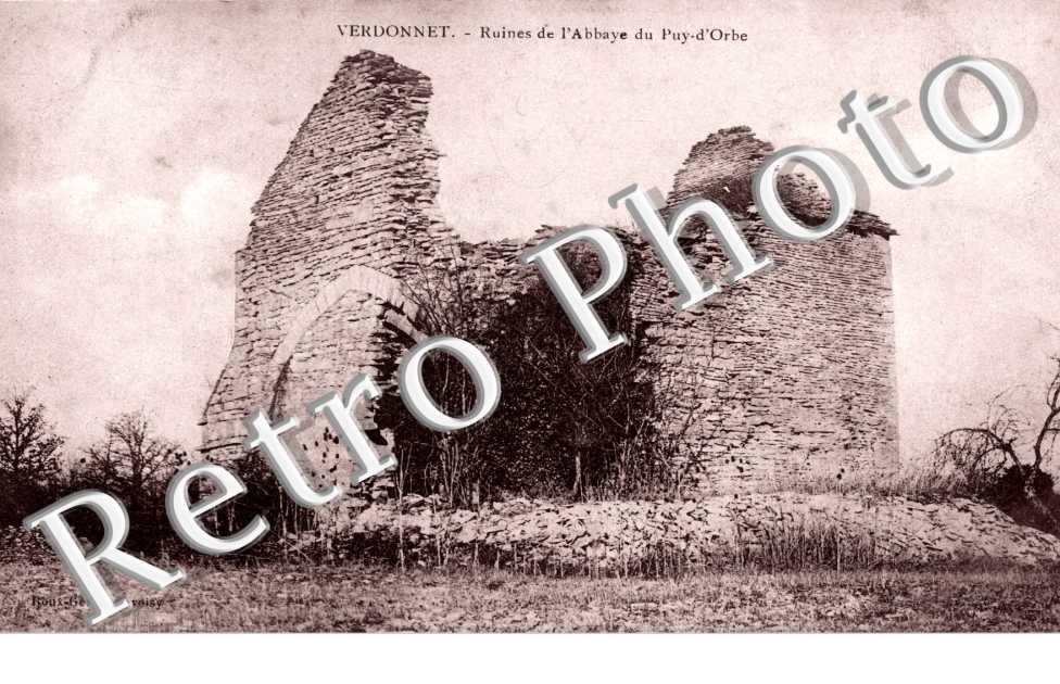 ruines de l'Abbaye du Puy-d'Orbe