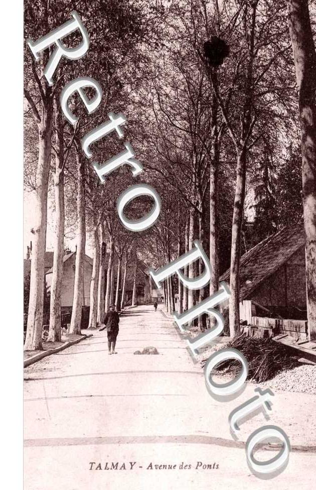 Avenue des Ponts