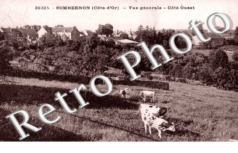 Vue generale