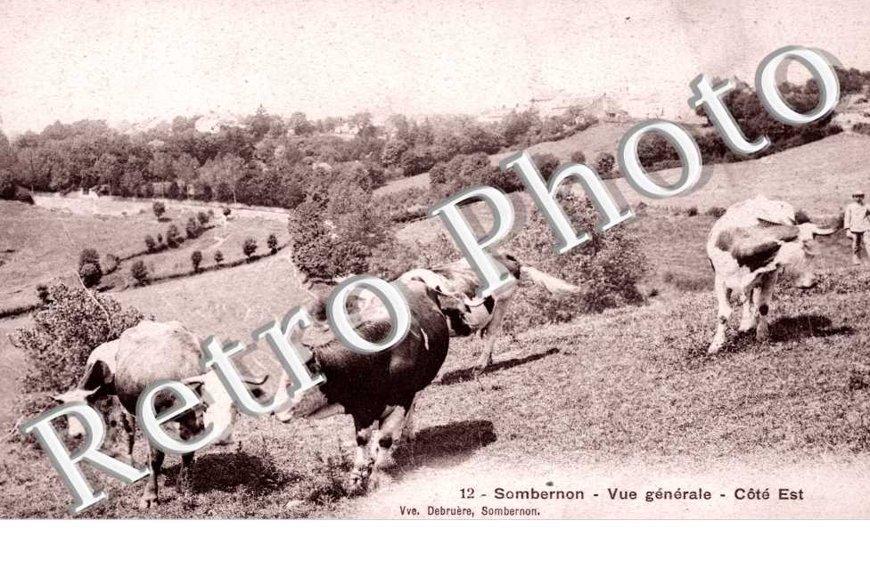 Vue generale