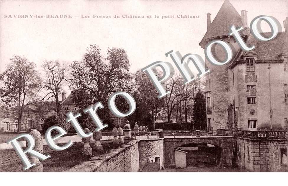 le Chateau - les Fosses