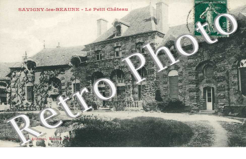 le petit chateau